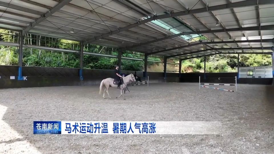 马术运动爱, 马术爱好者